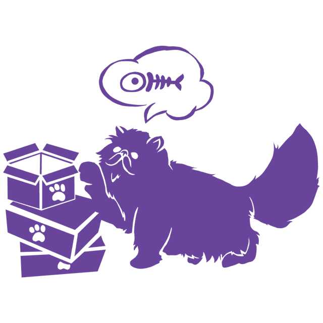 تدوین ساختار بسته بندی و ارائه محصول