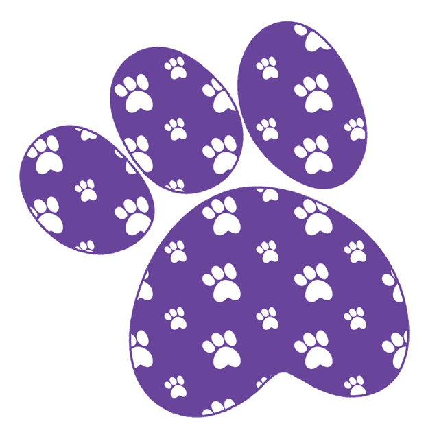 تدوین ساختار دیزاین استایل و پترن برند